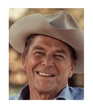 Tracy Cooke - The Falling Flag