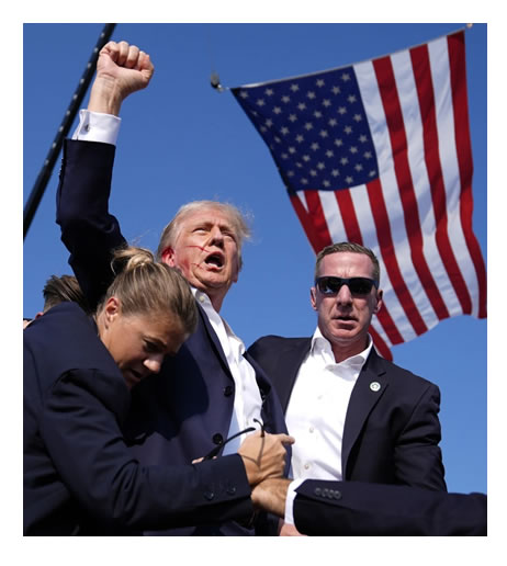 Tracy Cooke - The Falling Flag